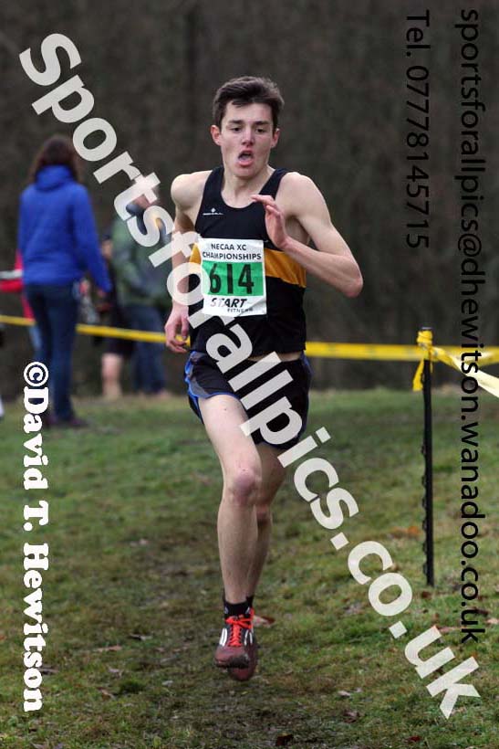 Mens under-20s North Eastern Cross Country, Aykley Heads, Durham. Photo: David T. Hewitson/Sports for All Pics